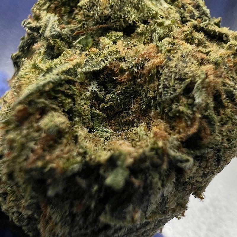 🇺🇸 Jellyz (Mids)