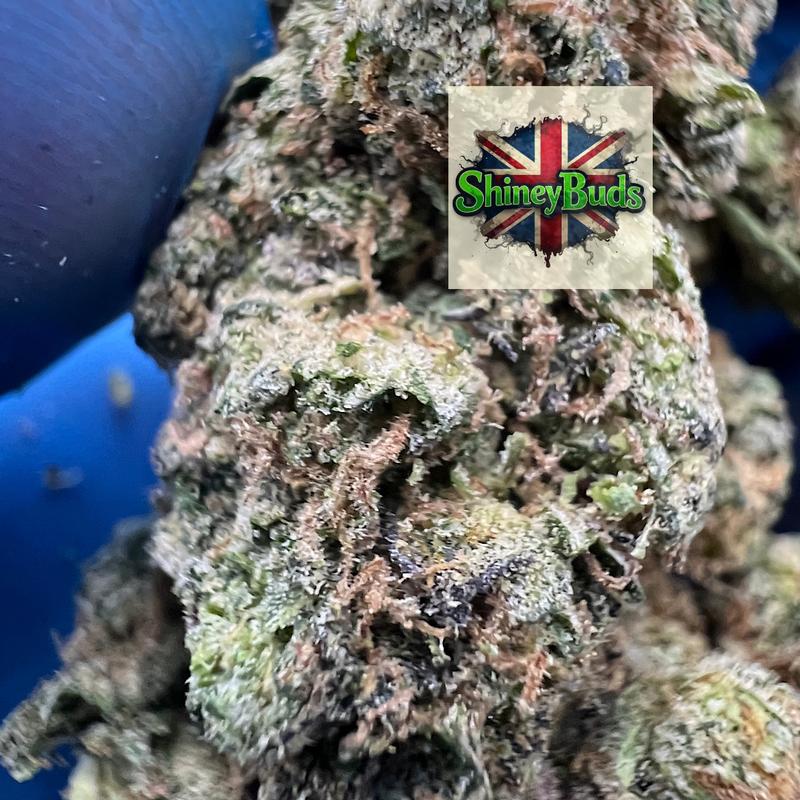 🇺🇸 Candy Zoap (Mids)