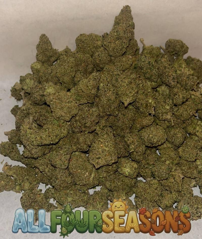 Cali 🇺🇸 (Exotics)