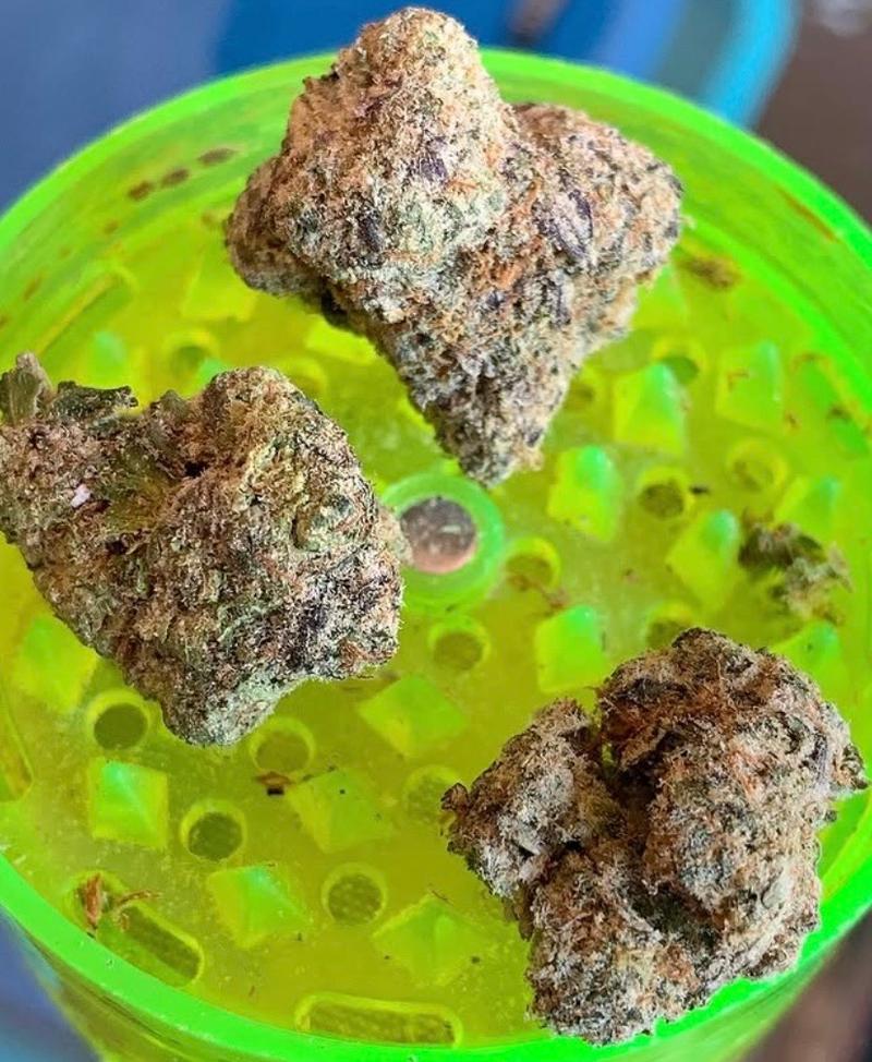 RS11 x RAINBOW SHERBERT