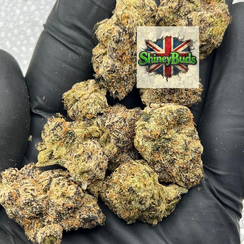 🇺🇸 Lemon Cherry Runtz