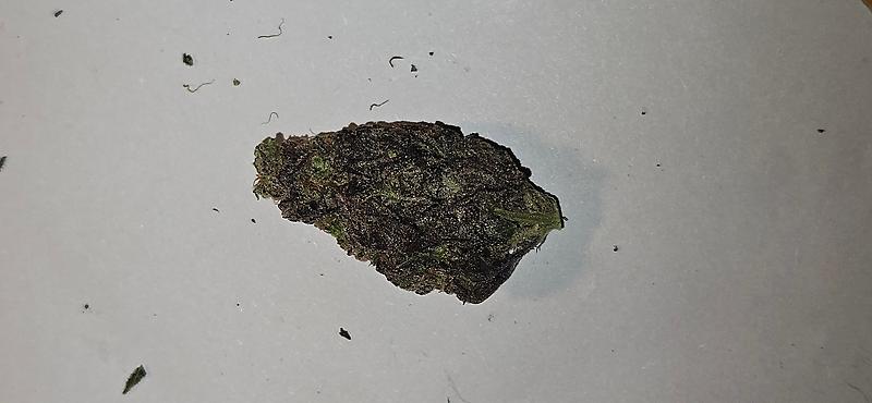 Wedding Cake Organic UK Grow