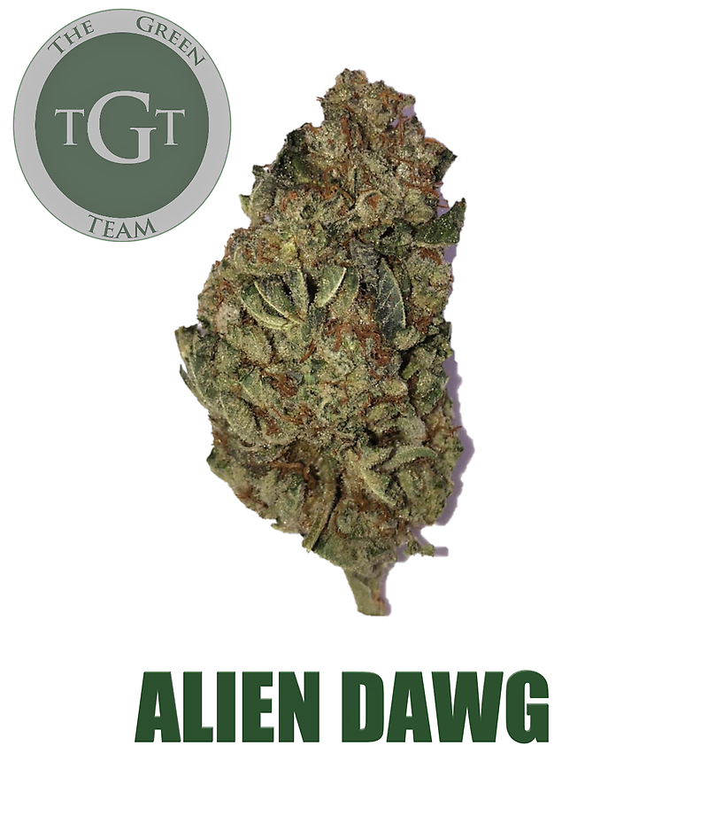 ALIEN DAWG
