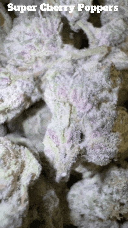 Top Shelf Exotics - Imported Loose Flower