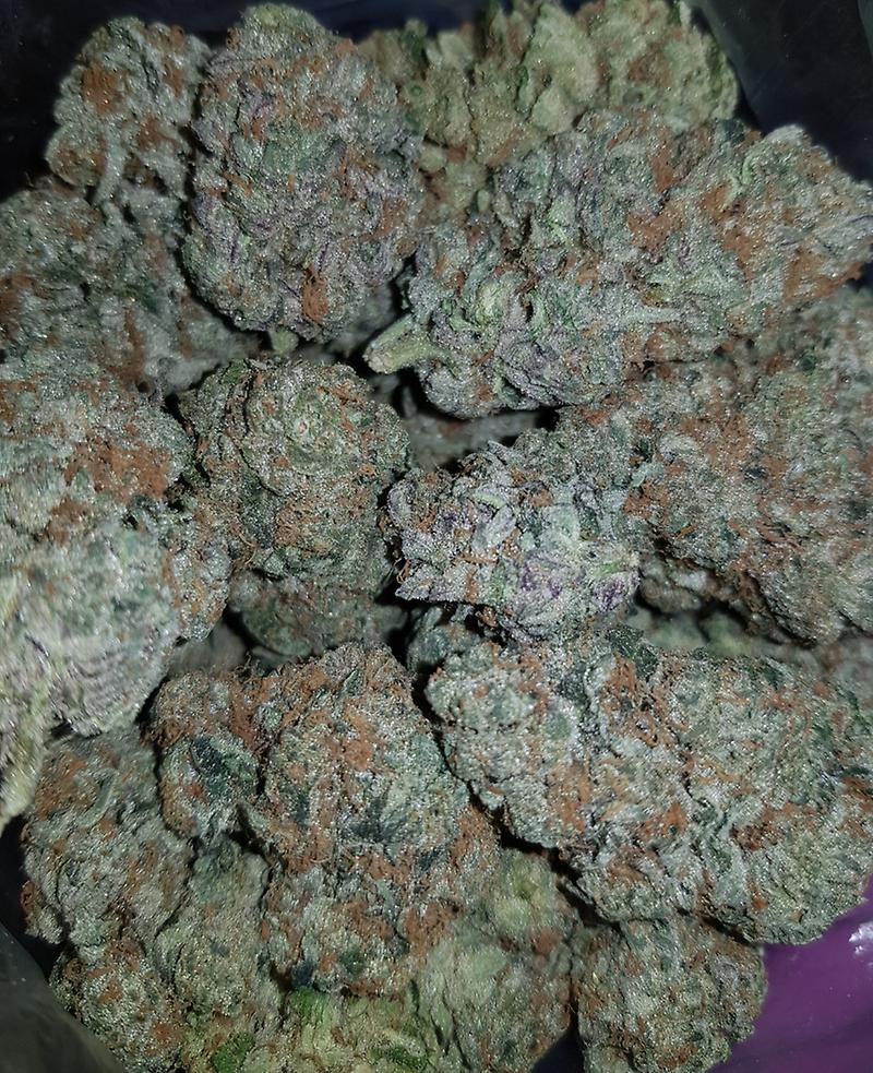 **BLUE GELATO**
