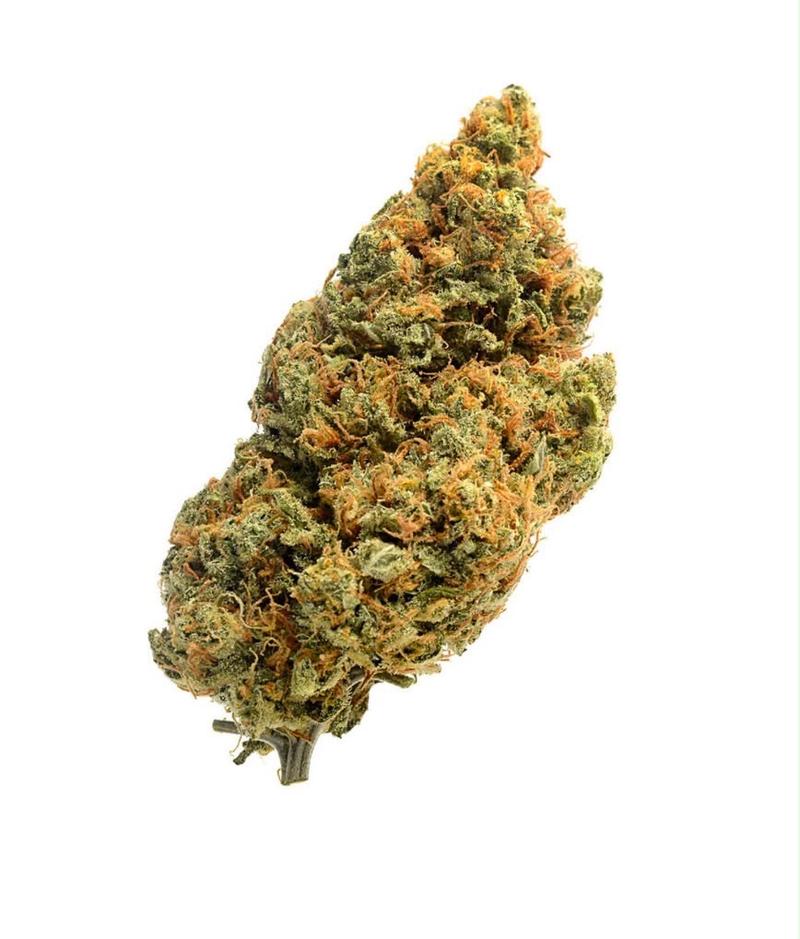 Amnesia | Premium Small-Batch Sativa | Citrus Haze Powe