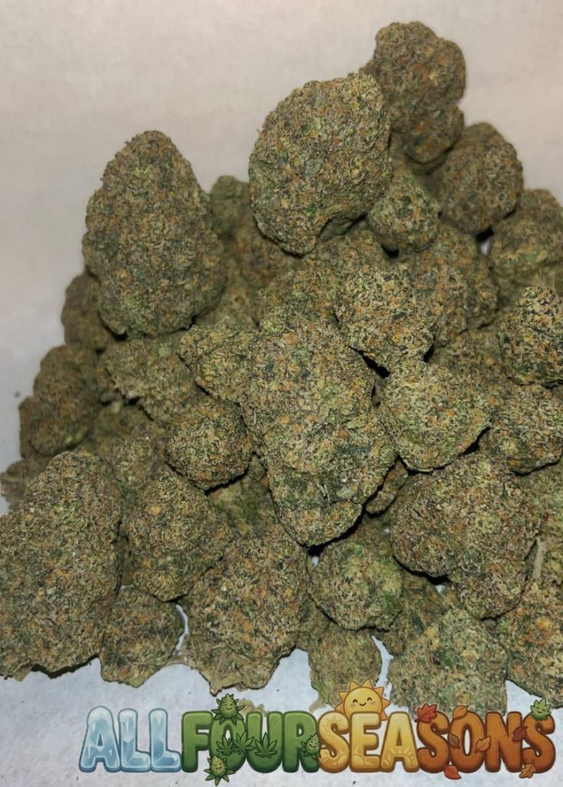 Cali 🇺🇸 (Exotics)