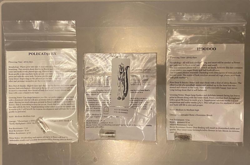 Dominion Seeds (USA)