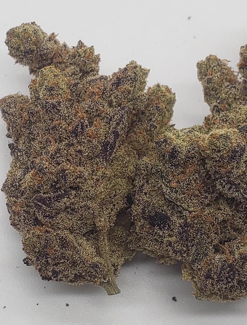 ZKILATO 33 (HYBRID)