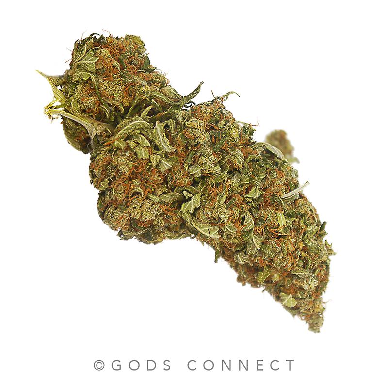 A** UK Strawberry Cough - Strawberry Fields X Haze