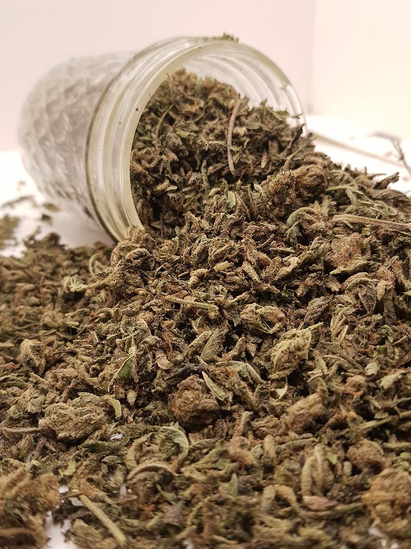STARDAWG PREMIUM SUGAR SHAKE