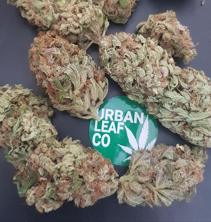 **Gorilla Zkittles - Batch #4 (FREE RM 1ST CLASS)**