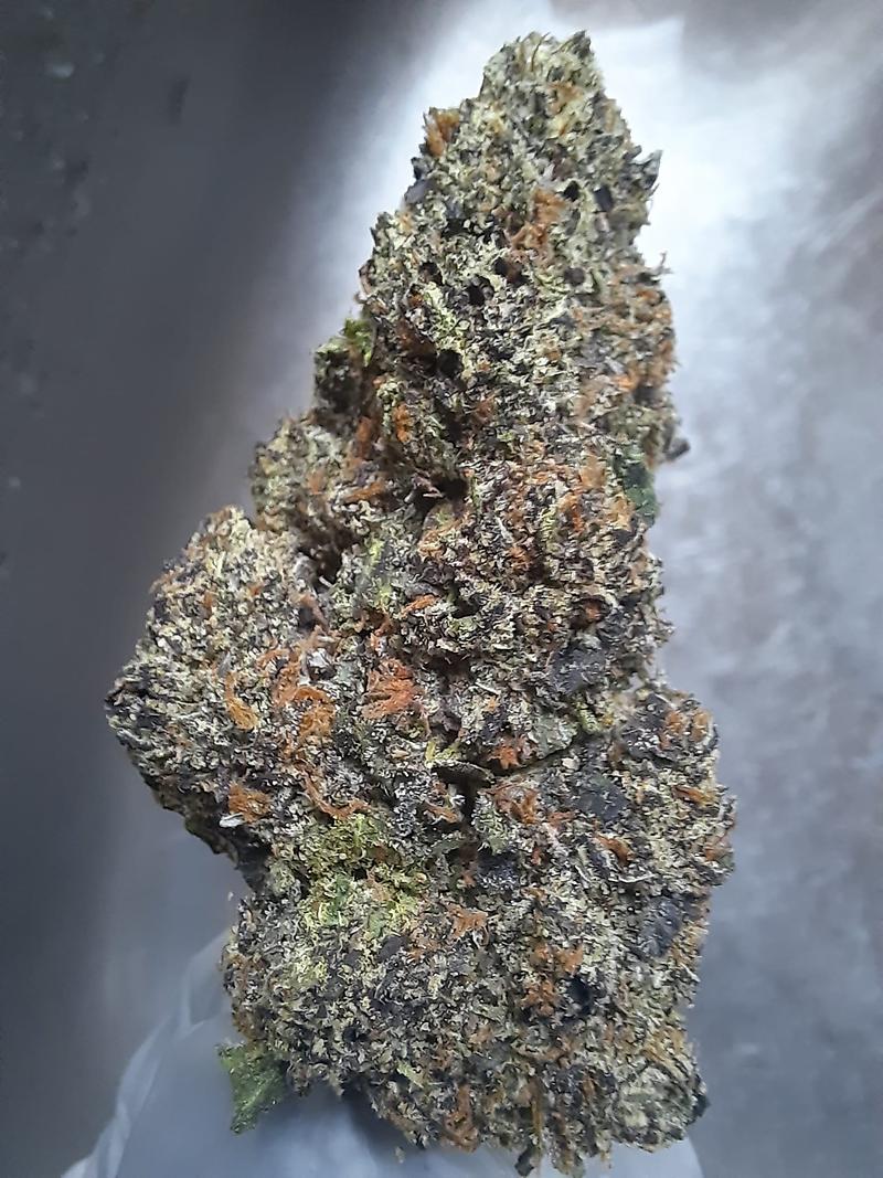 ZOAP X GELATO #41 - USA IMPORT!