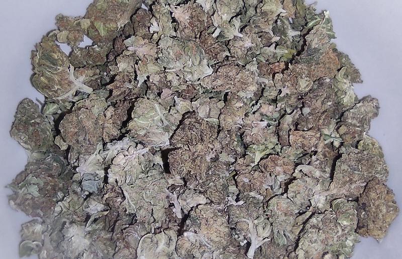 Greenhouse 'Shake' Small Buds Mixed Strains