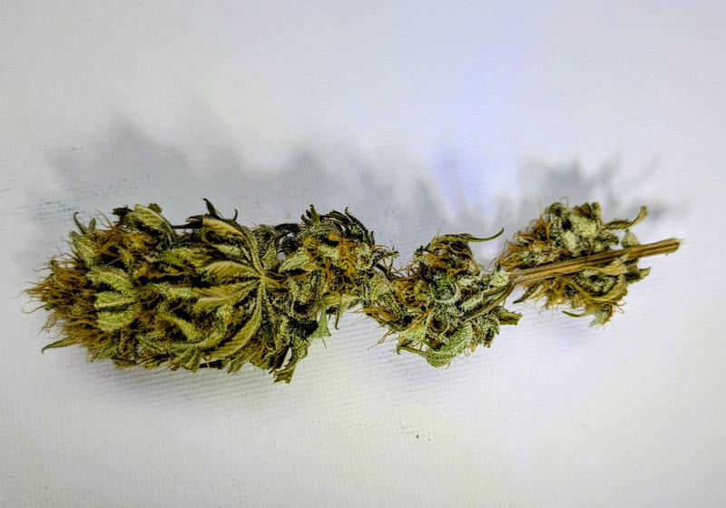 Organic Malawi Gold