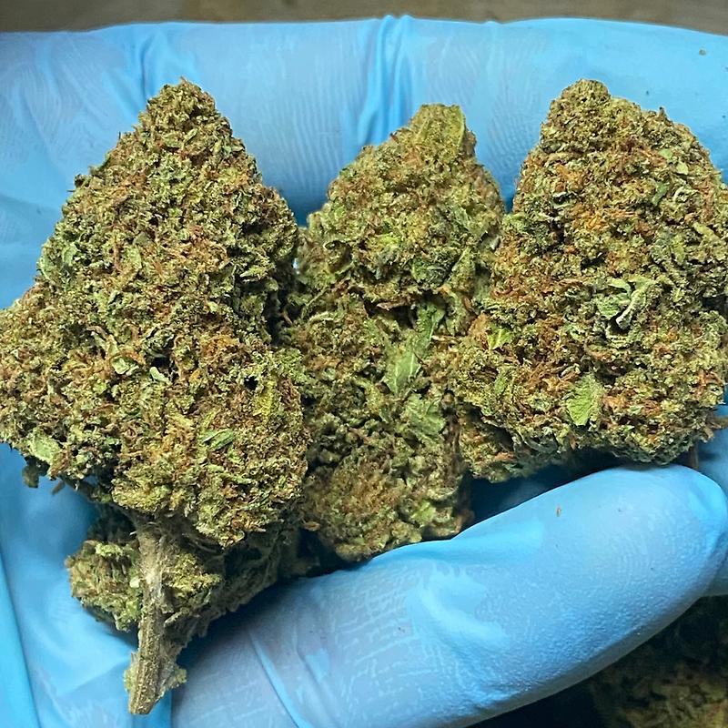 Guava Gelato - Amazing Guava Terps! Doc recommends