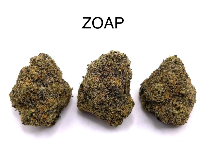 ZOAP