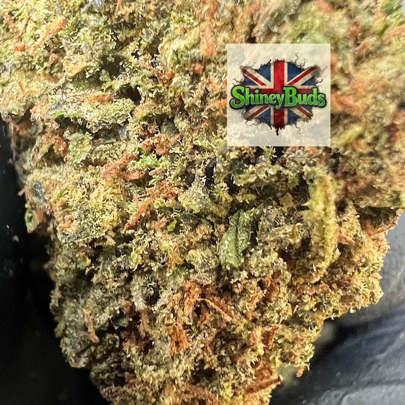 🇬🇧 Lemon Cherry Gumbo