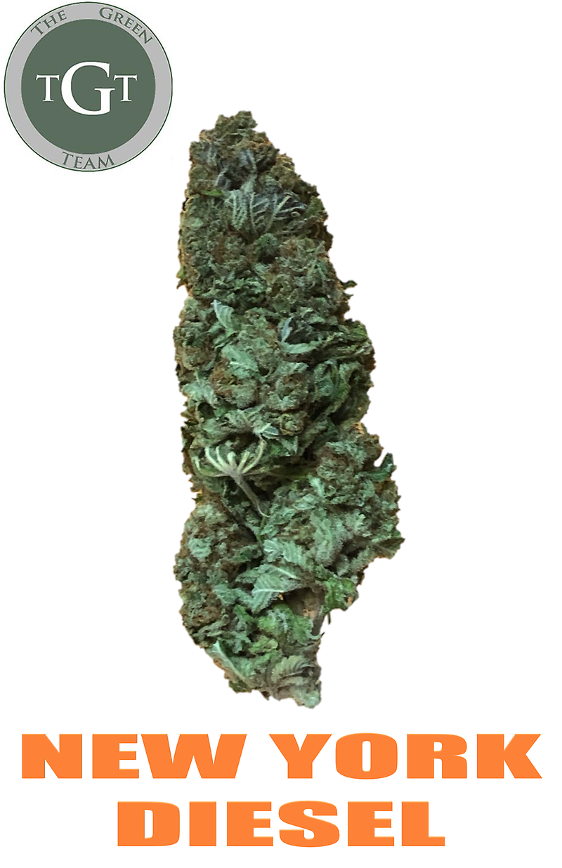 NEW YORK DIESEL *PREMIUM*