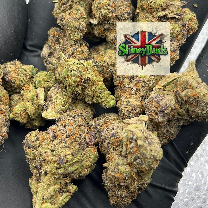 🇺🇸 Lemonatti CONNECTED CANNABIS