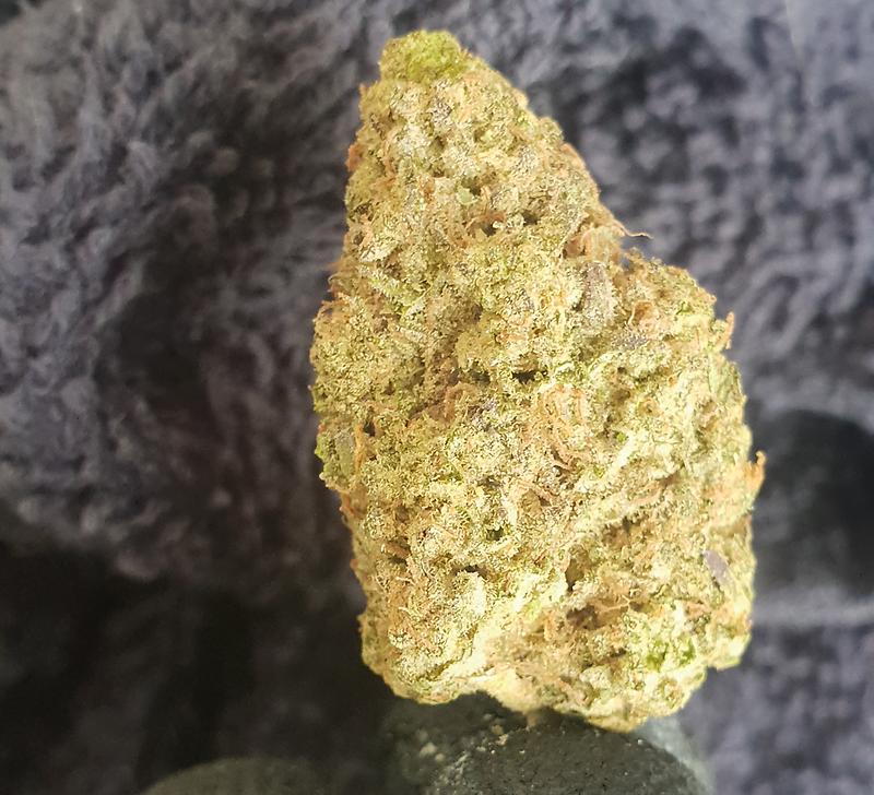 GARLIC COOKIES - UK - FREE RM 1ST CLASS SHIPPING