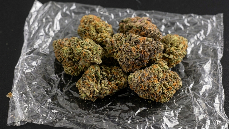 Sherbet OG Buds - Medium / Mids