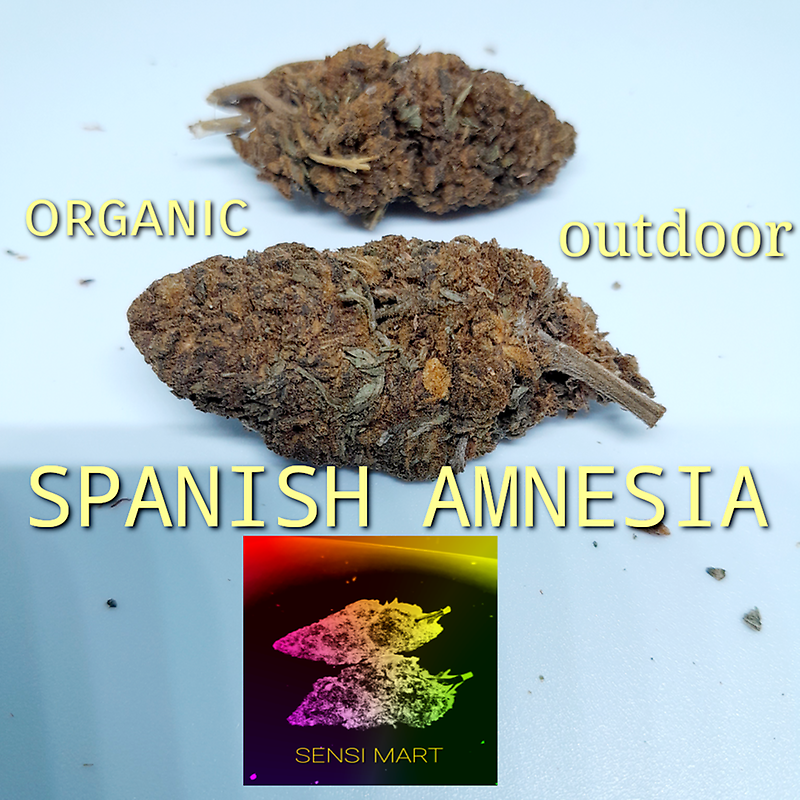 Out door/ light deprivation/ low/ budget buds