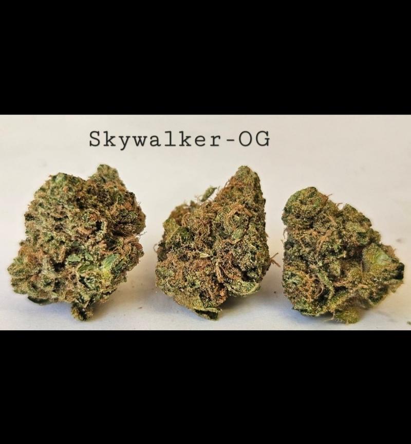 Make an oz for £160! ( Free T24 )