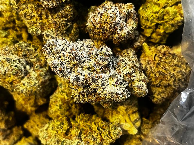 Blue Gelato ( Blue Gelato #41)