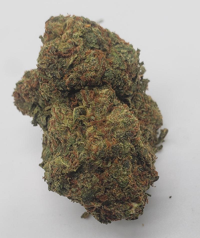 FOO DAWG (INDICA DOM)