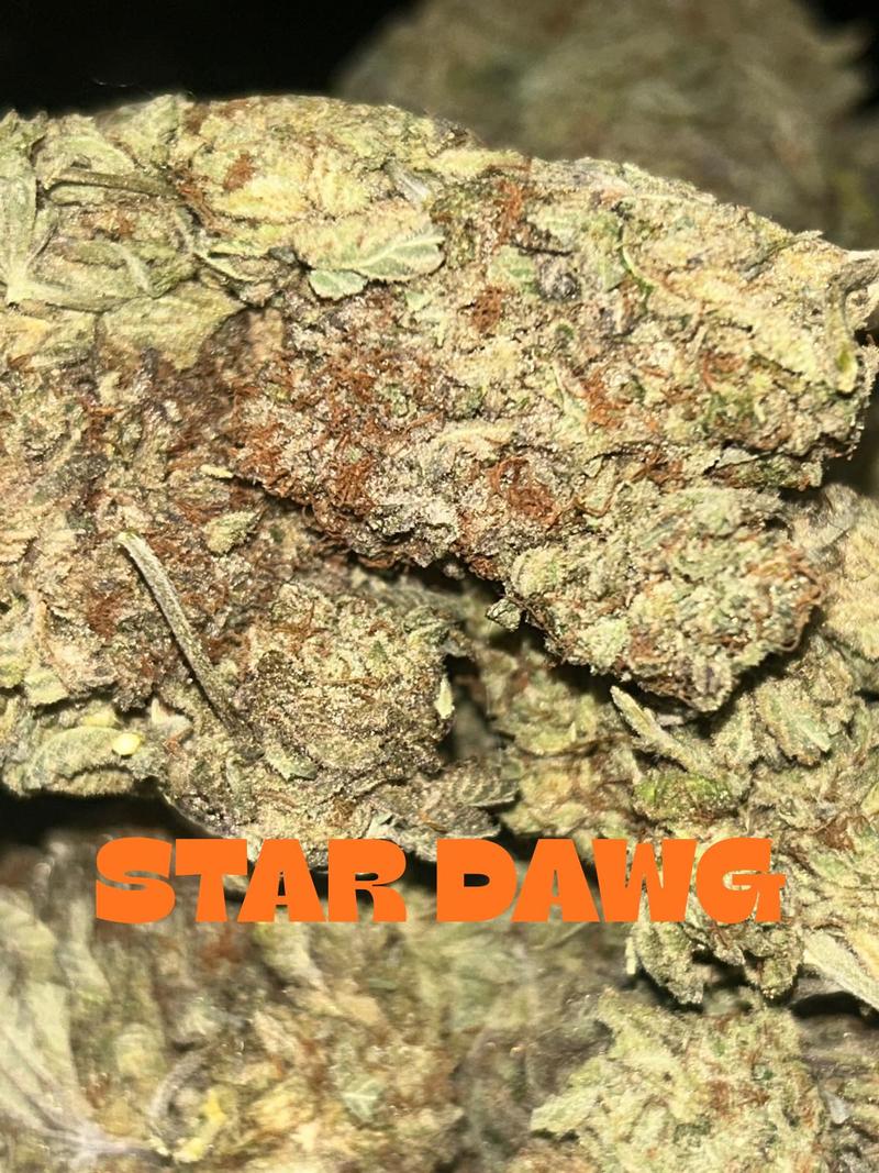 Stardawg