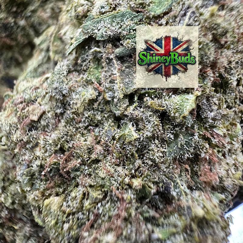 🇺🇸 Butter Peacan (Mids)
