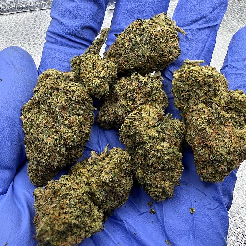 🇺🇸 Jellyz (Mids)