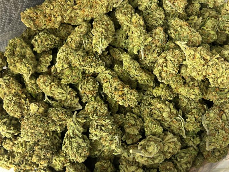 Super Silver Haze