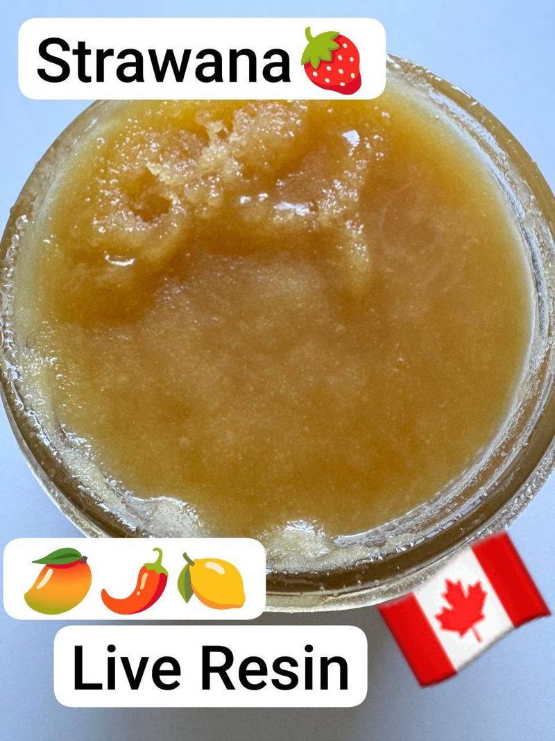 Canada BHO