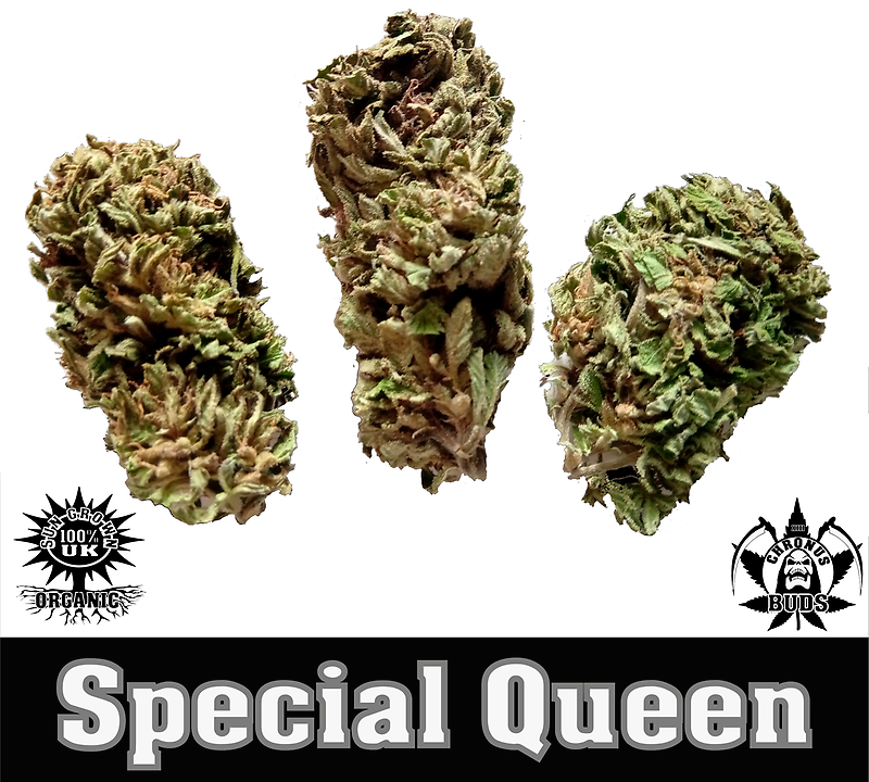 Special Queen- Free UK Delivery.