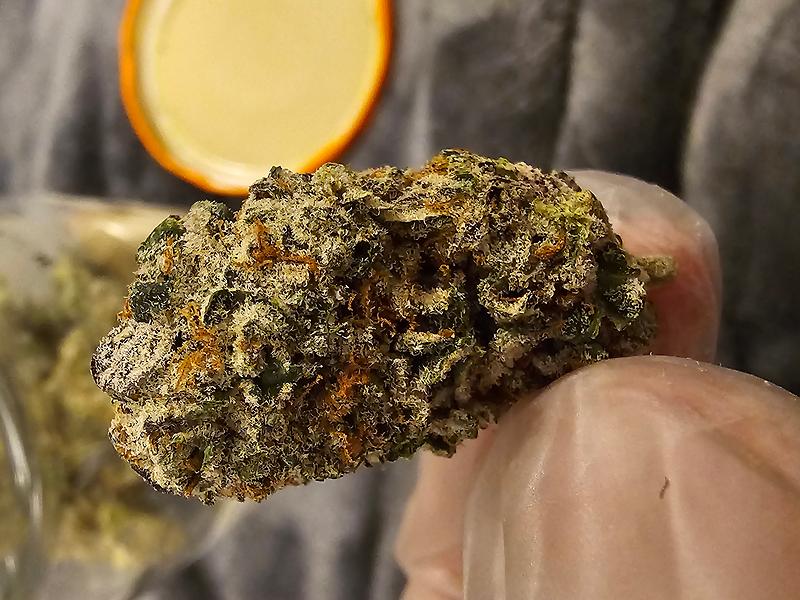 Gelato Punch 👊🏼