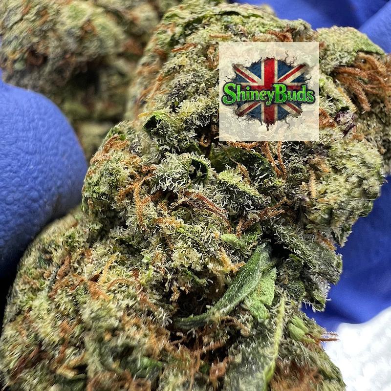 🇺🇸 Candy Chrome (Mids)
