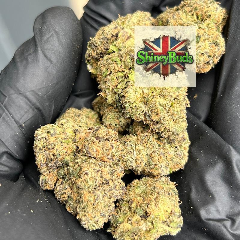 🇺🇸 Jungle Juice by WIZARD TREES