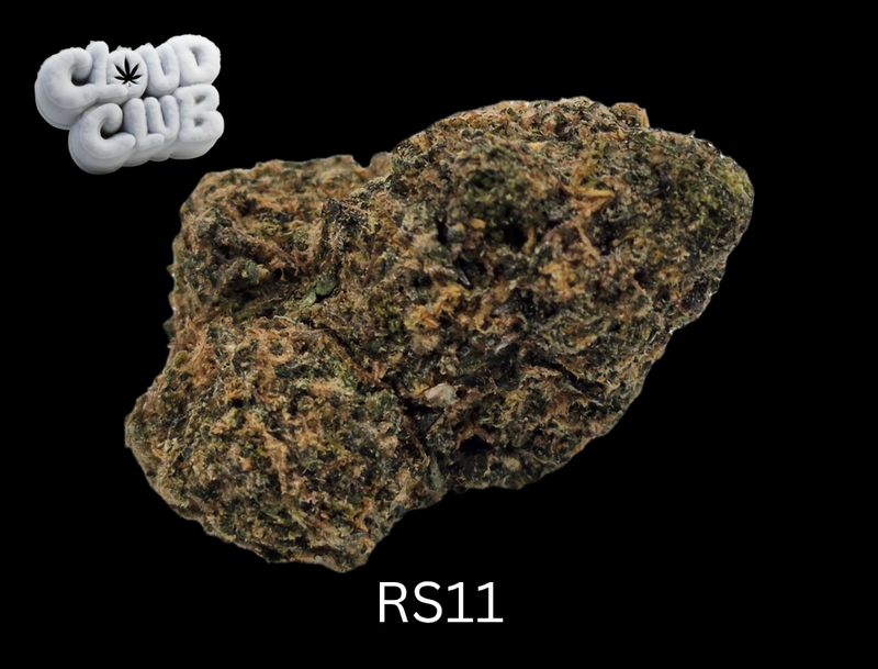 RS11