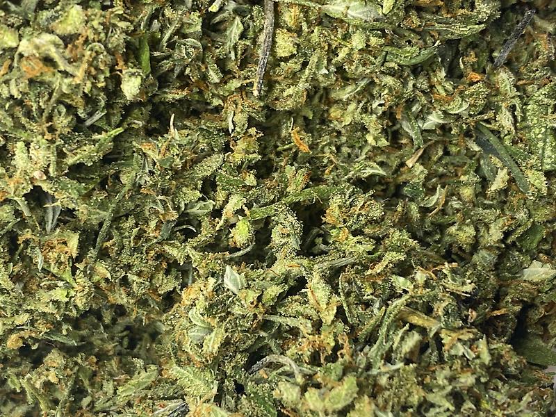 Exodus Cheese Shake - Utmost Dank - Preroll Quality