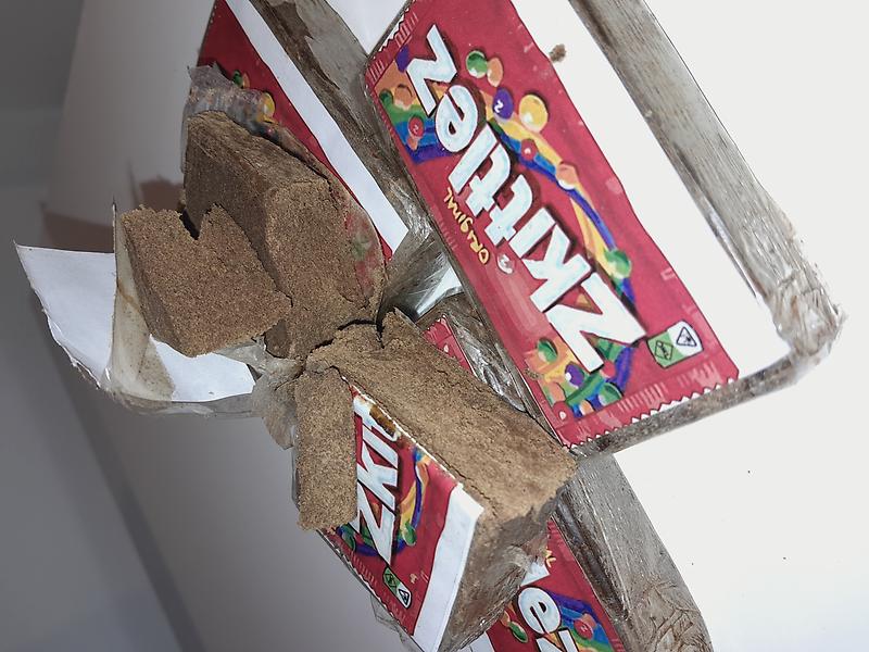 ZKITTLEZ 3X by BISCOTTI BOYZ