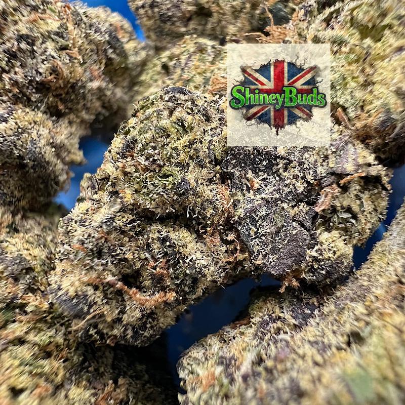 🇺🇸 Cherry Popperz