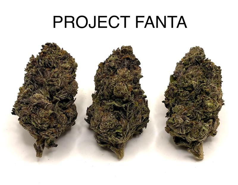 PROJECT FANTA