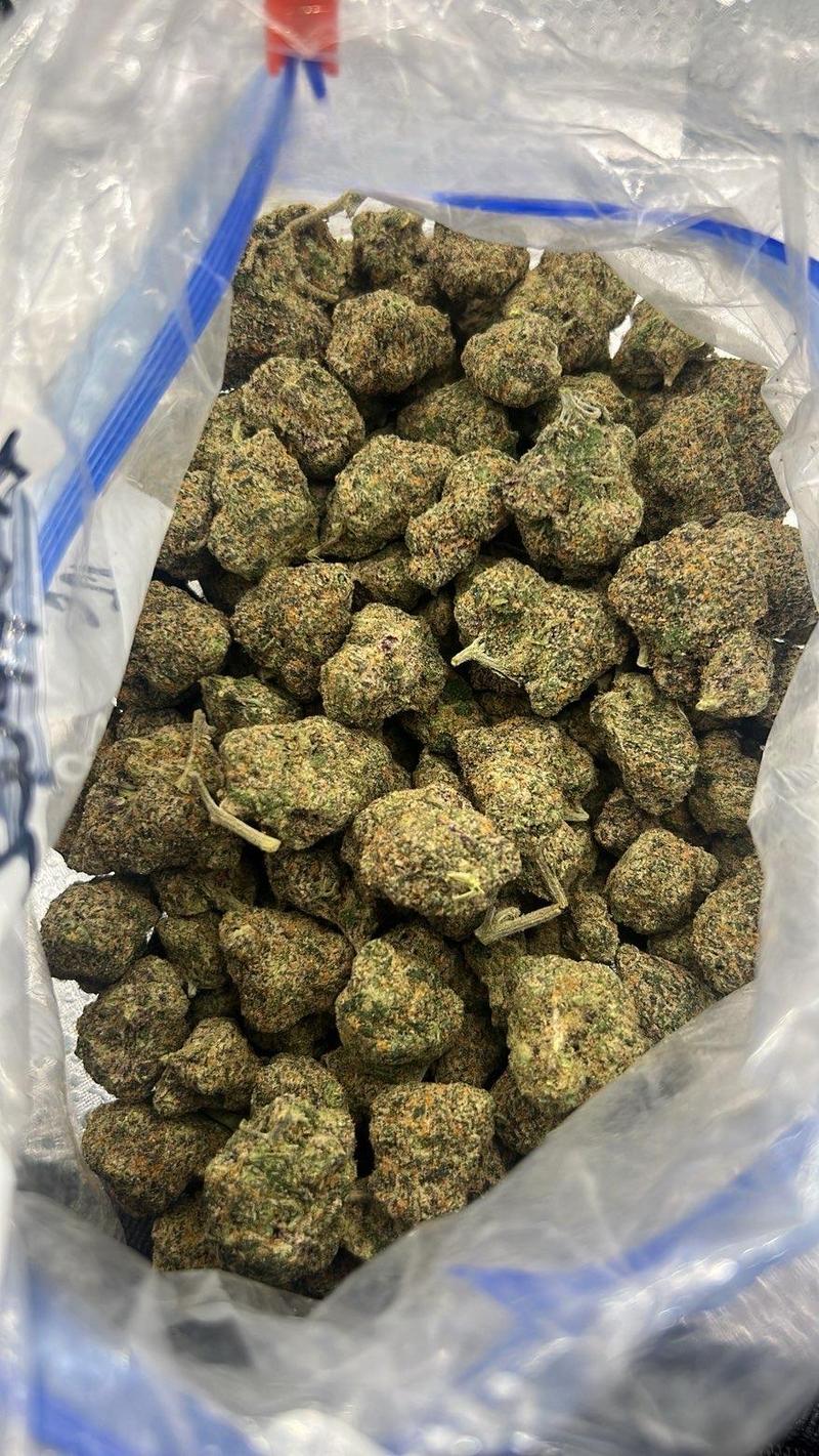 🍬 CALI LOOSE EXOTICS | Bubblegum Runtz 🍬