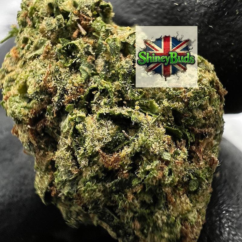 🇺🇸 Lemon Cherrylato (Mids)