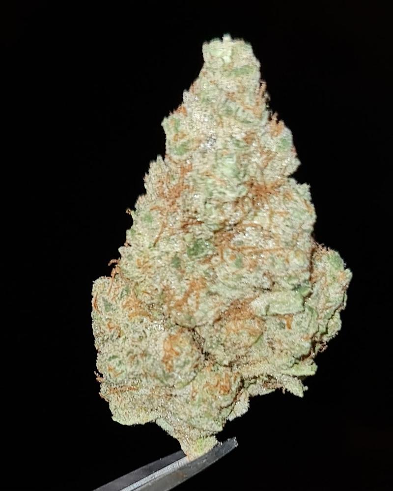 STRAWBERRIES & CREAM - 60/40 SATIVA - FREE TRACKED 24