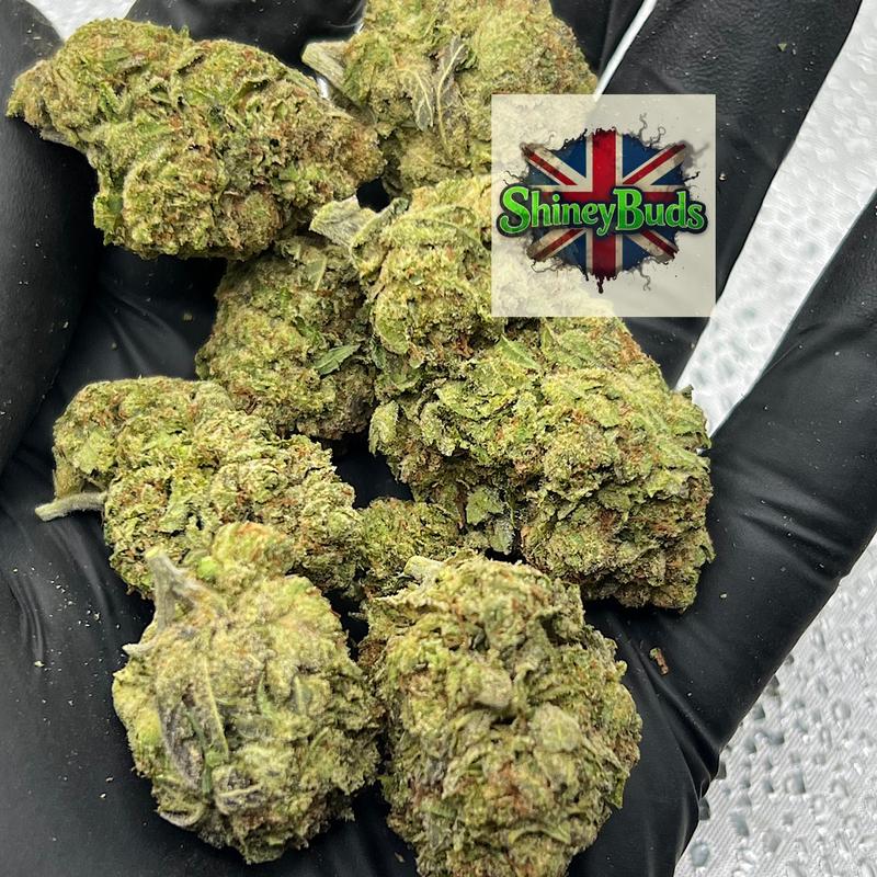 🇬🇧 Blueberry Squirt