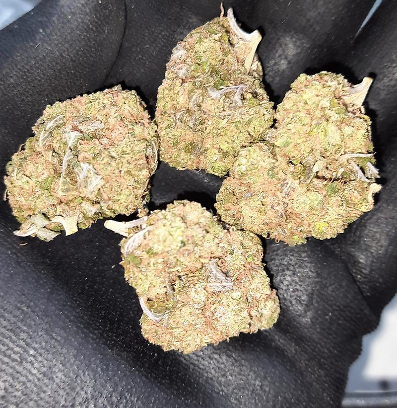 **DB#10 - (FREE RM 1ST CLASS DISPATCH)**