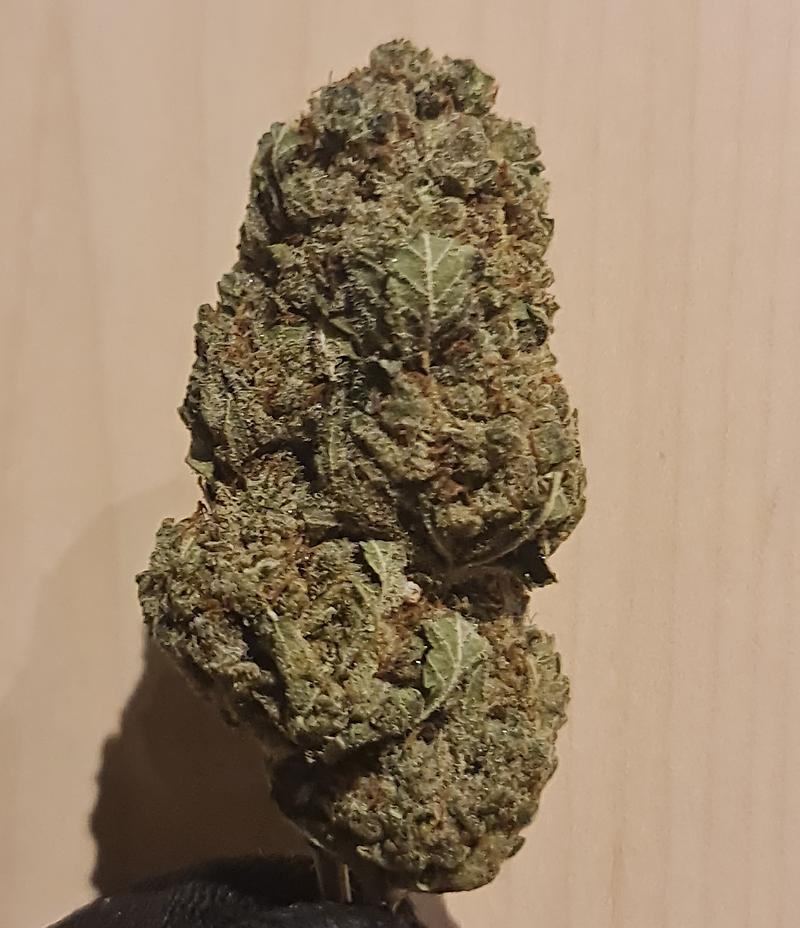 **DO-SI-DOS X SBC - (FREE RM 1ST CLASS)**